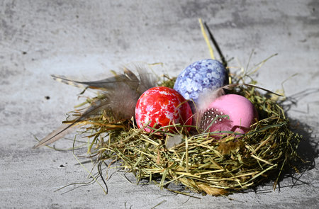 Colorful easter eggs in nest on meadow