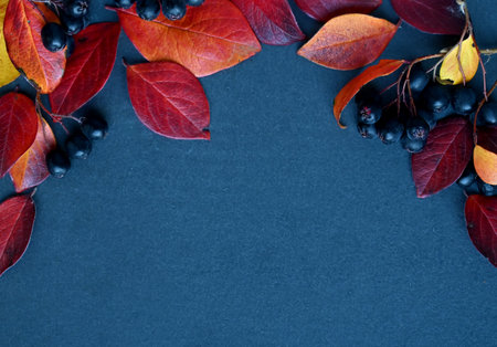 Autumn leaf on wood black background orange lush on old grunge wood deck,tablet for text,の写真素材