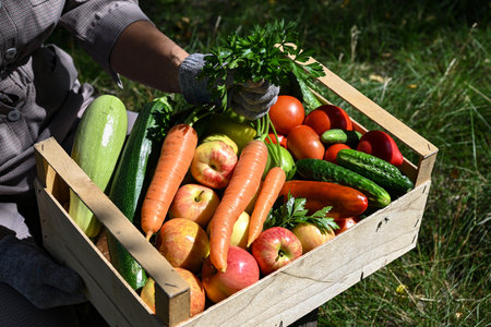 A female farmer holds a wooden box full of fresh raw vegetables. Basket with vegetables (carrots,...
