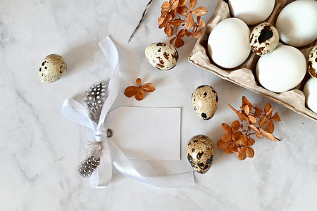 Composition with Easter eggs and branches on wite background.Postcard.