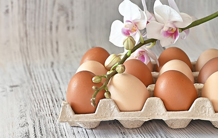 Composition with Easter eggs and branches on wite background.Postcard.の写真素材