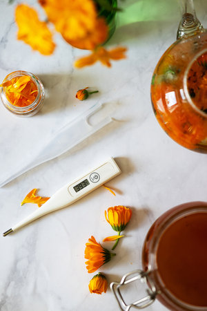 Cup of marigold tea and calendula flowers outdoors on green background.の写真素材