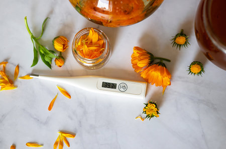 Cup of marigold tea and calendula flowers outdoors on green background.