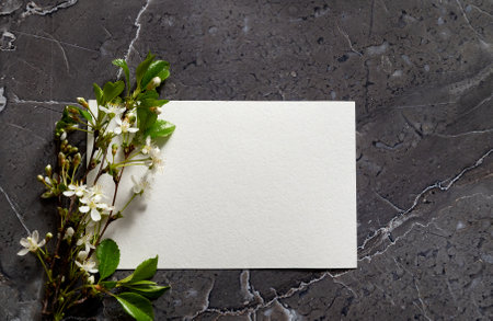 Flowers composition. Frame made of dried rose flowers on white background. Flat lay, top view, copy...