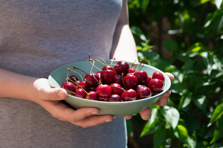 Cherry on decor plate on blue background. Ripe ripe cherries. Sweet red cherries. Fruit Background