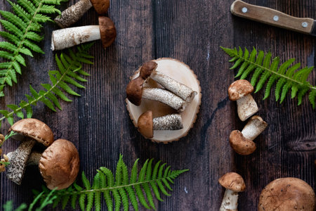 Cep or Boletus Mushroom growing on lush green moss in a forest, low angle viewの写真素材