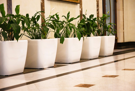 Bouquet, flowers in the vase on the table in the lobby of the big luxury hotel.の写真素材