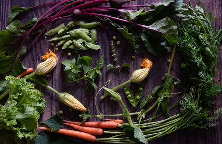 Flat Stacking series assorted green tinted Vegetables, Fresh Organic raw productsの写真素材