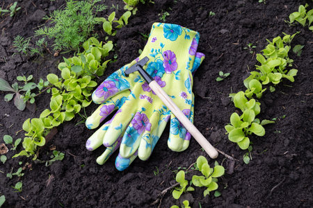 Brightly patterned gloves and a small gardening tool rest on soft soil surrounded by vibrant green seedlings in a backyard garden during the spring season.の写真素材