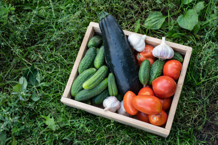 A wooden crate holds an assortment of freshly picked vegetables, including cucumbers, tomatoes, zucchini, and garlic, resting on lush green grass in bright daylight.の写真素材