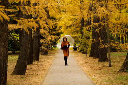 A woman dressed in a stylish brown coat poses amidst fallen leaves in a serene park. Trees with vibrant yellow and green foliage frame the scene, creating an idyllic autumn atmosphere.の写真素材