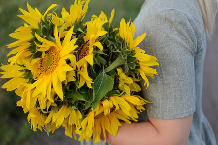 Two individuals share a bouquet of vibrant sunflowers in a vast rural field under a clear sky while enjoying the sunny weather.の写真素材