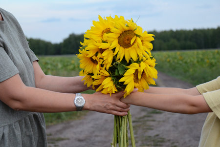 Two individuals share a bouquet of vibrant sunflowers in a vast rural field under a clear sky while enjoying the sunny weather.の写真素材