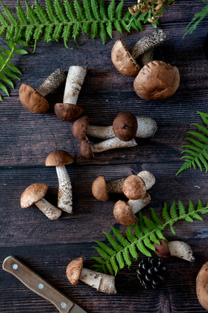 Basket with edible white mushrooms. Boletus edulis. Collect porcini in forest