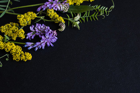 Colorful wildflowers arranged artistically on a dark background in a vibrant displayの写真素材