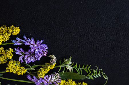 Delicate purple and yellow wildflowers are arranged on a dark surface, showing their vibrant colors and intricate patterns. The flowers display natural beauty against a contrasting backdrop.の写真素材