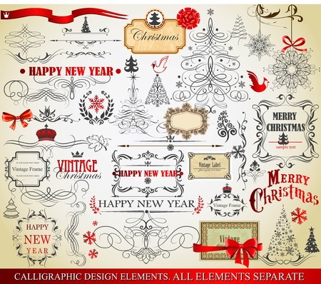 Set of calligraphic and typographic elementsのイラスト素材