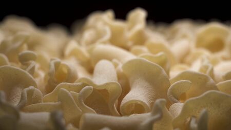 Fresh real pasta on the table. Beautiful camera span over rotating pasta macro close up shot.の写真素材