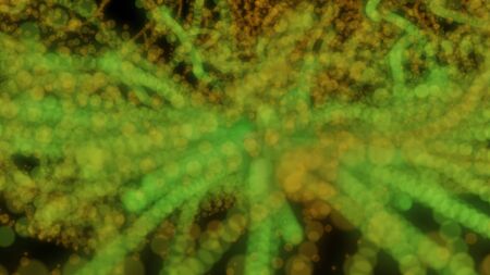 Abstract background with circles and lines. Different shades and thickness.の写真素材