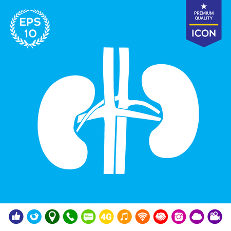 Human organs. Kidney silhouette iconのイラスト素材