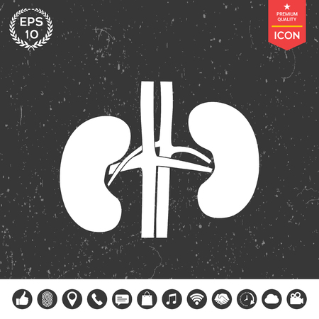 Human organs. Kidney iconのイラスト素材