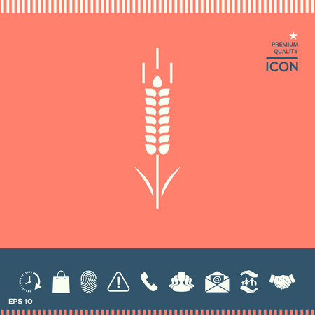 Wheat or rye spikelet symbolのイラスト素材
