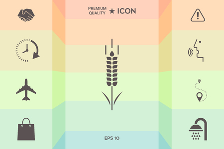 Wheat or rye spikelet symbol iconのイラスト素材