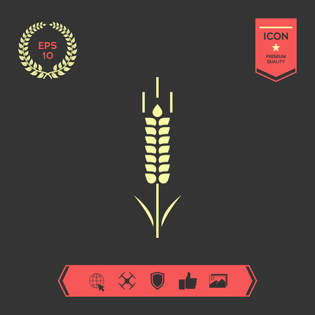 Wheat or rye spikelet symbol icon . Signs and symbols - graphic elements for your designの写真素材