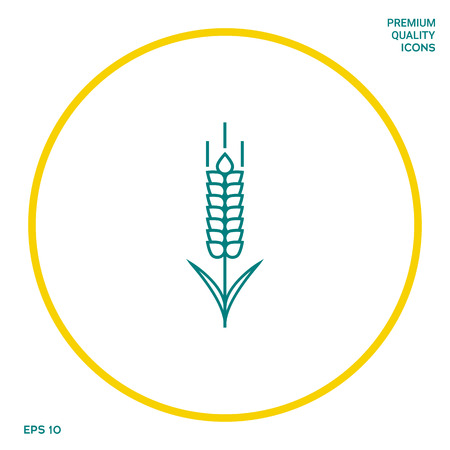 Wheat or rye spikelet icon. Graphic elements for your designの写真素材