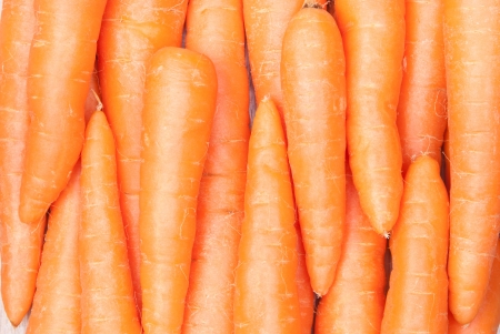 Carrots backgroundの写真素材