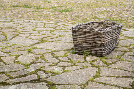 Lonely basked maded from tree or bush branchesの写真素材