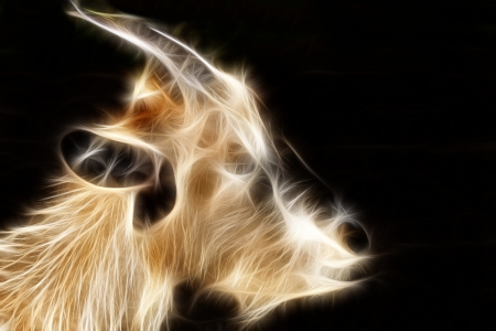 Brown goat lay on asphalt and close eyesの写真素材