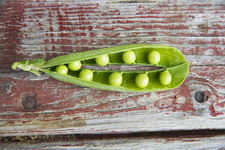 Green pod with many ripe peas on table