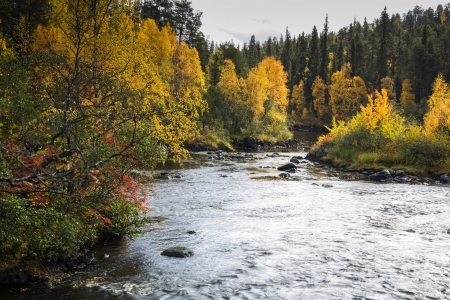 Autumn trees and devios river at conservation areaの写真素材