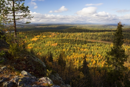 Nice view over autumn forest from rocky mountainの写真素材