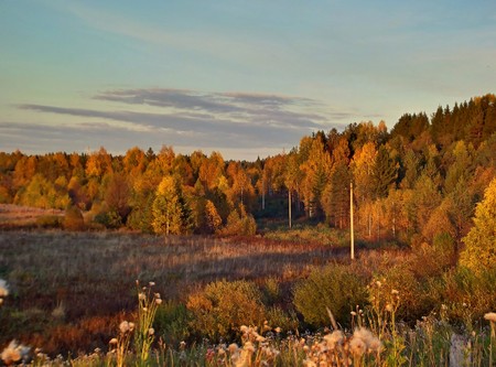 golden autumnの写真素材