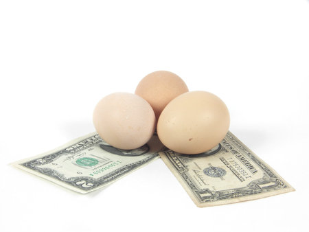 dollar bills and three eggs image on white backgroundの写真素材