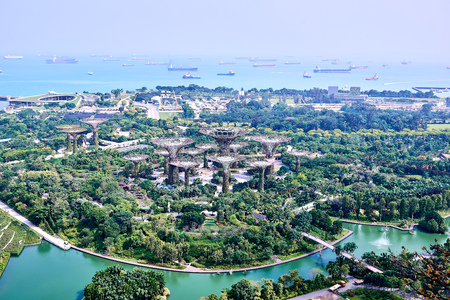 A view of the Gardens by the Bay seen from the heights of a hotel.のeditorial素材