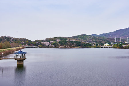 A view of the blue roof gazebo on a lake and mountains with cherry blossoms.