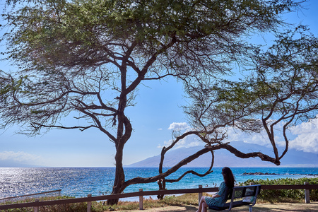 A woman sitting on a bench at a park in Maui looking at the Hawaiian ocean.の写真素材