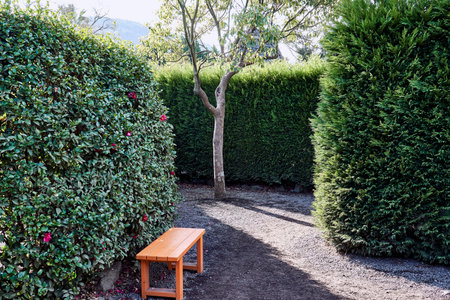 A solitary wooden bench inside a maze at a maze theme park in Jeju Island, South Korea.