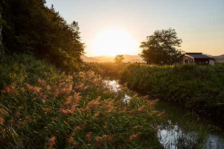 A beautiful sunset view of the Suncheonman Bay Wetland Reserve in South Korea.のeditorial素材