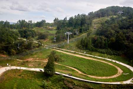 A high-angle view of the Skyline Luge Tongyeong in South Korea, showing the Skyride chairlift transporting riders above winding, gravity-fueled luge tracks nestled in a lush, foresの写真素材