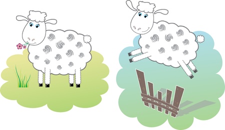 Two white sheepsのイラスト素材
