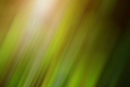 Smooth Green Yellow Brown Background, Motion blur Diagonal Pattern, Gentle Bokehの写真素材