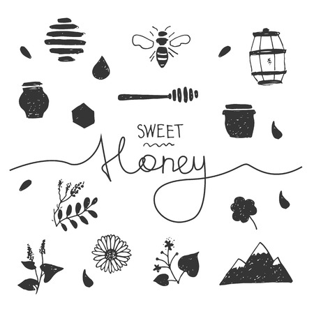 Design elements honey in hand drawn style with lettering.のイラスト素材