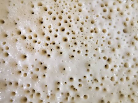 The texture of fried thin pancakeの写真素材