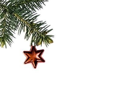 Christmas background. Coniferous tree branch and decoration in the form of a red five-pointed star on a white background. Photo with empty space for text and design.の写真素材