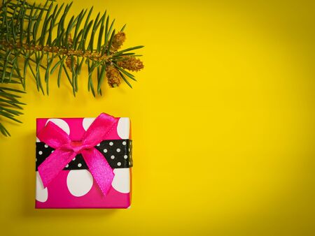 Close-up of a bright pink gift box white polka-dot with a scarlet ribbon with coniferous branch and cones on a yellow background. Space for your text. Image with selective focus and noise effects.の写真素材