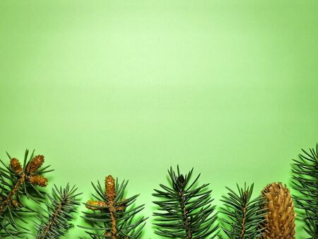 Christmas green background with coniferous branches and cones. Photo with empty space for text and design.の写真素材
